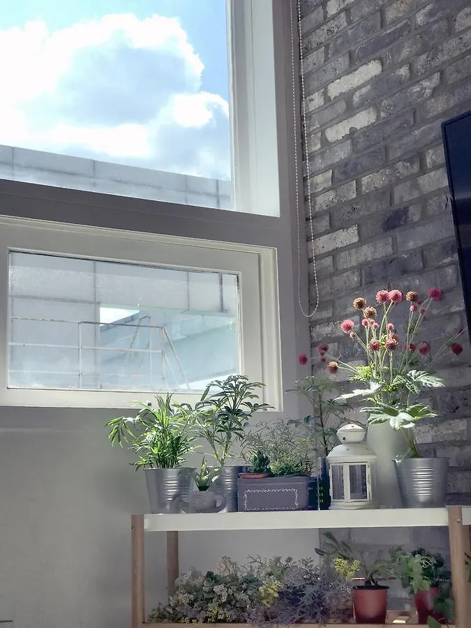 Hotel Cozy Duplex Hongdae Soul Apartmán